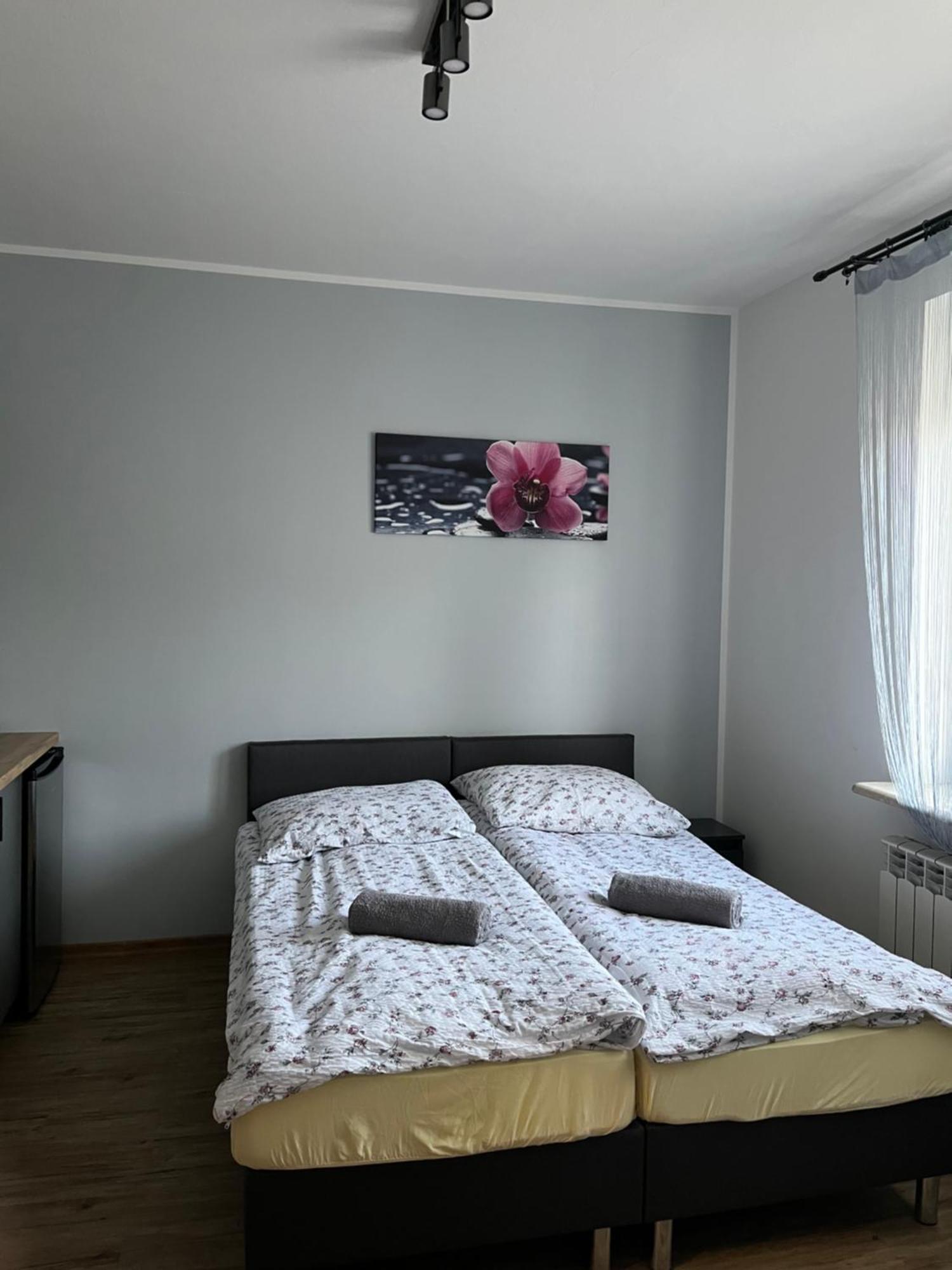 Dom Wypoczynkowy Nad Wisla Puławy Buitenkant foto